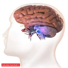 خطر تومور با وزوز گوش