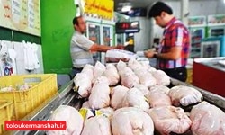 ۶ مرغفروش متخلف کرمانشاه نقره داغ شدند