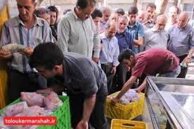 اجزای زنجیره تولید و توزیع مرغ در کرمانشاه باید در سامانه جامع تجارت ثبت‌نام کنند/با مرغ فروشان متخلف برخورد می‌شود
