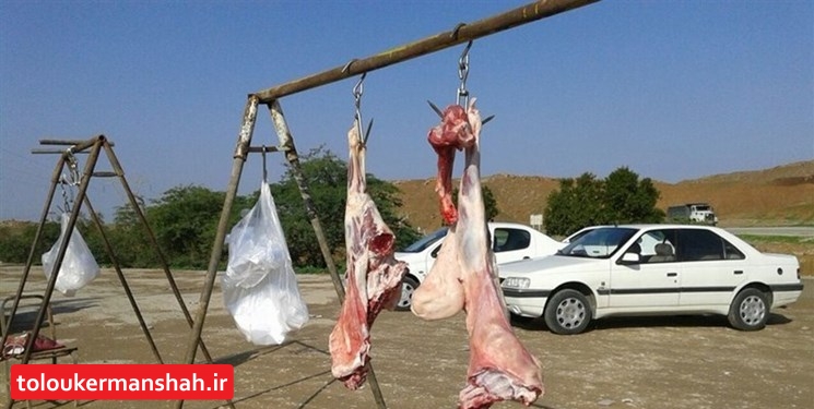 سلاخی سلامت در گوشتهای آویزان شده در خیابانهای کرمانشاه/ ۱۵۰۰ کیلو گوشت غیربهداشتی جمعآوری شد
