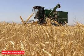 راه برای هرگونه قاچاق گندم در استان بسته شود