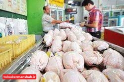 توزیع مرغ در کرمانشاه با استفاده از سیستم هوشمند کنترل می‌شود