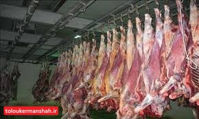 گوشت مورد نیاز بازار کرمانشاه با فعالیت کشتارگاه بیستون تامین میشود