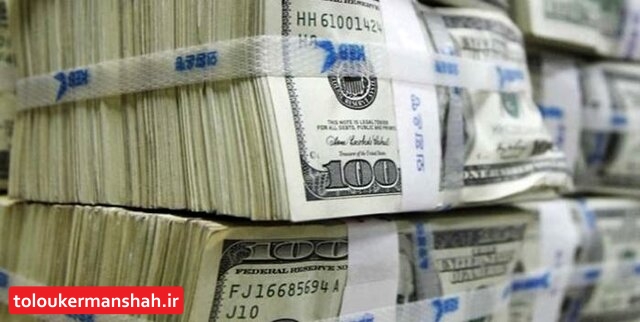 دولت ورود نکند افزایش قیمت دلار ادامهدار خواهد بود
