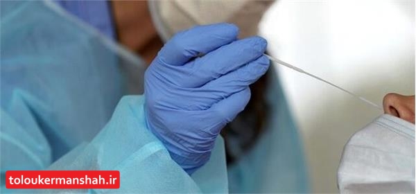 جولان “کرونا” در کرمانشاه/نیمی از تستهای Pcr “مثبت” میشود!