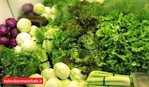 گرانی ترهبار اینبار به «کاهو» رسید