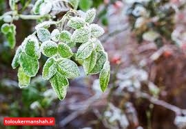 کرمانشاه ۵ تا ۸ درجه سردتر میشود