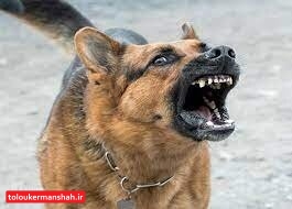 این بیماری ۱۰۰ درصد کُشنده است!