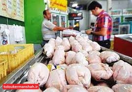 تشدید نظارت بازرسان بر توزیع مرغ گرم در کرمانشاه