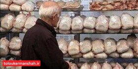 داستان تکراری کمبود و سپس گرانی مرغ در کرمانشاه