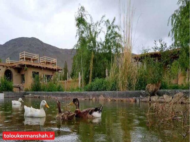 افزایش ۲۵ درصدی نرخ هتل‌ها، بوم‌گردی‌ها و خانه مسافرها در کرمانشاه