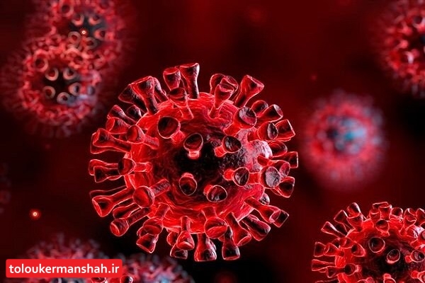 با مرگ ۱ کرونایی دیگر مجموع جانباختگان استان به ۲۹۱۴نفر رسید