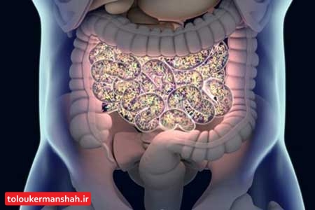 هشدار! ۷ نشانه روده ناسالم چیست؟