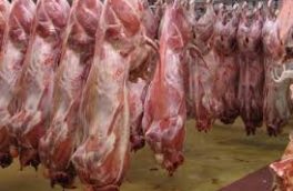گرانی گوشت در کرمانشاه و صادرات دام زنده به خارج/ دامداران صاحب کارت دامداری می‌شوند