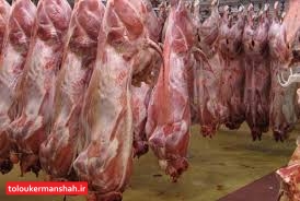 گرانی گوشت در کرمانشاه و صادرات دام زنده به خارج/ دامداران صاحب کارت دامداری می‌شوند