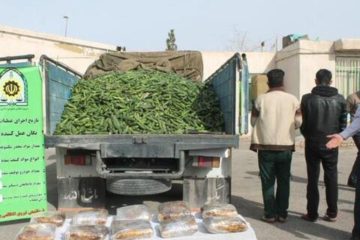 کشف ۳۰۰ کیلوگرم تریاک در”کرمانشاه”/‍ انهدام باند مواد مخدر توسط پلیس
