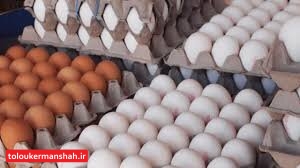 قیمت تخممرغ در کرمانشاه کاهشی شد