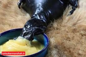 برند روغن کرمانشاهی در خطر است!/روغن حیوانی کرمانشاه به کام استان‌های دیگر