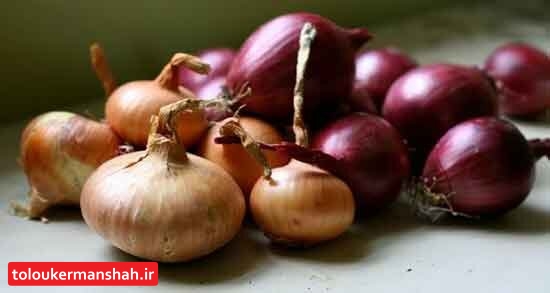 هرسین در انتظارِ واحد فرآوری پیاز/ پیاز هرسین بازار جهانی دارد