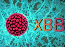 از XBB و BQ.1 چه می‌دانید؟/”سوزش شدید حلق” و “طعم بد دهان” علائم ابتلا به دو زیرسویه جدید