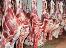 گوشت دام کرمانشاه بالاترین کیفیت را دارد/مافیای دام موجب گرانی گوشت می شود