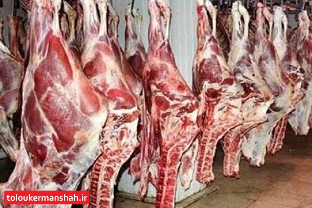 گوشت دام کرمانشاه بالاترین کیفیت را دارد/مافیای دام موجب گرانی گوشت می شود