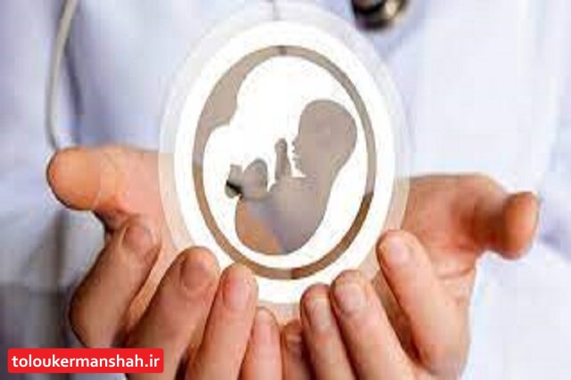 از هر ۳ زوج نابارور یک زوج در این مرکز درمان میشود