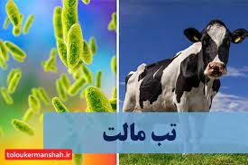 راههای ابتلا به بیماری تب مالت کدام است؟