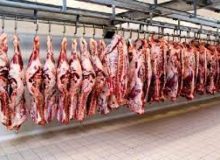 تداوم سیرصعودی قیمت گوشت قرمز در کرمانشاه / توزیع نامناسب گوشت قرمز منجمد در فروشگاه های شهر