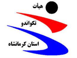 برگزاری نخستین دوره استاژ فنی مربیان تکواندو در کرمانشاه/تکواندو را نجات می دهیم