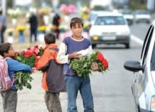 بهزیستی فقط آمار کودکانی را در دست دارد که به آن ها خدمات می دهد!/شناسایی نزدیک به ۱۰۰۰ کودک کار و خیابانی در کرمانشاه