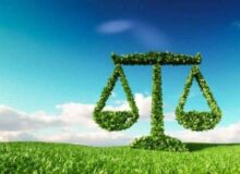 قاضی کرمانشاهی، متخلف شکار را به عرصههای حفاظت از طبیعت فرستاد