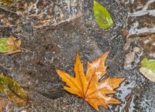 باران پائیزی مهمان کرمانشاه میشود