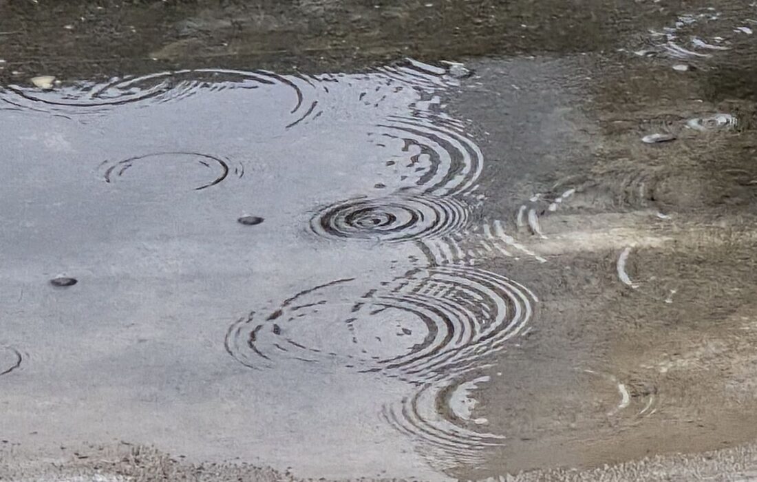 بارندگی‌های سال زراعی جاری در قصرشیرین ۶۰ درصد افزایش داشته است