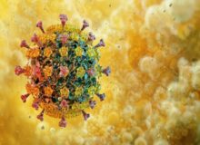  از پیک آنفلوآنزا گذر کردیم/ احتمال پیک دوم وجود دارد