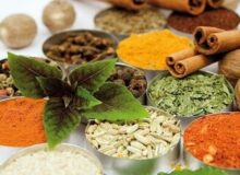 طبیعی بودن گیاهان دارویی و داروهای گیاهی به معنای بی‌خطر بودن آن‌ها نیست