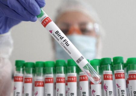 وضعیت «سفید» آنفلوآنزا در کرمانشاه/ احتمال وقوع پیک دوم