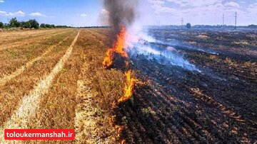 افراد برای مقابله با جارسوزی مستندات را به دادستانی کرمانشاه گزارش دهند