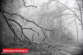 سرمای شبانه در استان کرمانشاه تداوم می یابد