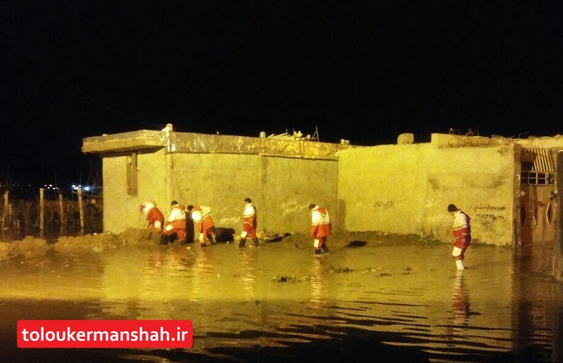 آب شهرک کرناچی کرمانشاه را فرا گرفت/شهرک جانبازان در خطر معرض آبگرفتگی