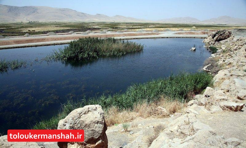 چاه های غیر مجاز، تهدیدی جدی برای تالاب منحصر به فرد “هشیلان”