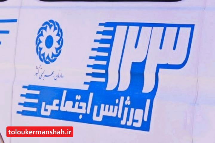 تمامی پرونده هایی که به اورژانس اجتماعی بهزیستی ارجاع می گردد باید در کوتاه ترین زمان ممکن و بدون هیچ قید و شرطی پیگیری شوند