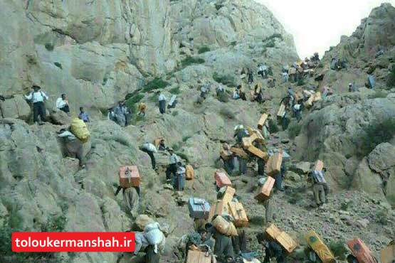 قطع کوله‌بری موجب افزایش بیکاری در شهرستان‌های مرزی کرمانشاه شده است