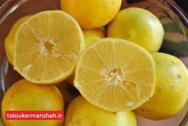 پیش بینی برداشت ۲ هزار و ۵۰۰ تن لیموشیرین از باغات قصرشیرین