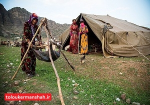 آغاز کوچ پاییزه عشایر از ۳۰ آبان