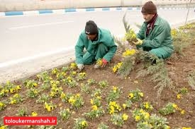 فضای شهر کرمانشاه با کاشت ۷۰ هزار بوته گل بهاری میشود