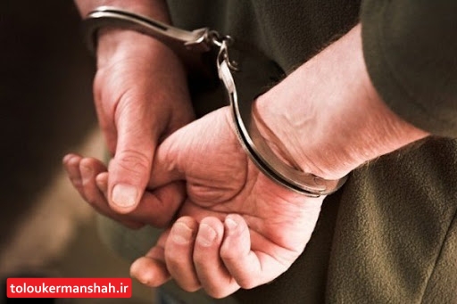 فرمانده انتظامی کرمانشاه از دستگیری ۲ کیف قاپ حرفه ای با تلاش ماموران خبر داد.