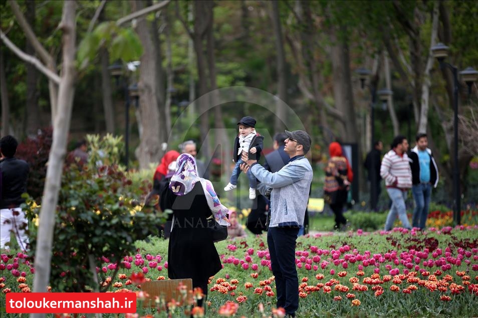 ۱۳ بدر در کرمانشاه ممنوع شد