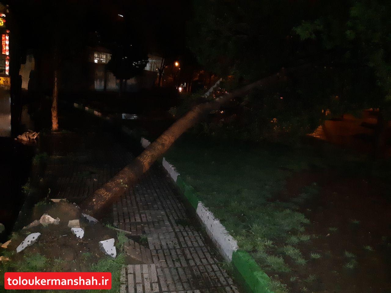 طوفان برق ۱۶ نقطه استان کرمانشاه را قطع کرد