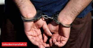 خوراکی های مسموم شگرد سارق حرفه ای برای سرقت/مالباختگان به پلیس آگاهی پاوه مراجعه کنند